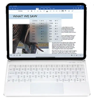 Étui iPad Pro 12.9'' Magic Keyboard
